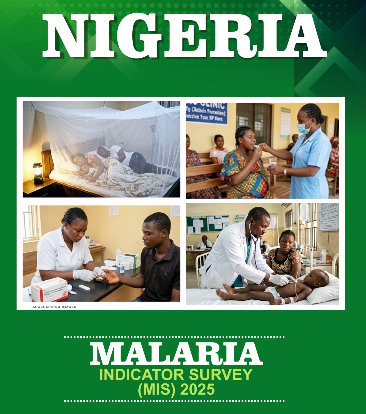 2025 NMIS Report